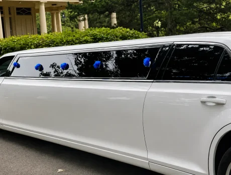 Wedding Limousine